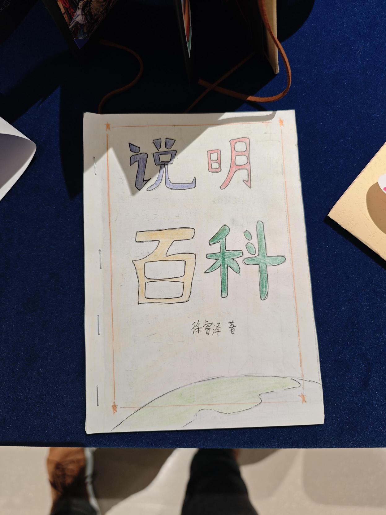 Image 21